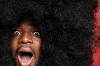 curly big natural hair